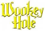 2 For 1 Wookey Hole & Promo Codes