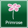 Primrose Voucher Code & Coupons