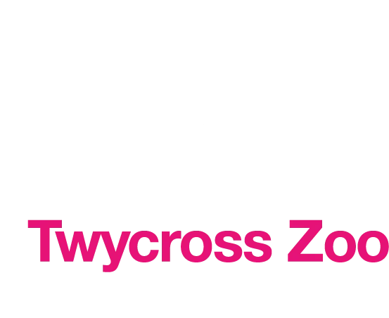 Twycross Zoo 2 For 1