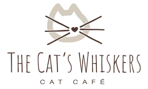 The Cats Whiskers York Discount Codes & Voucher Codes