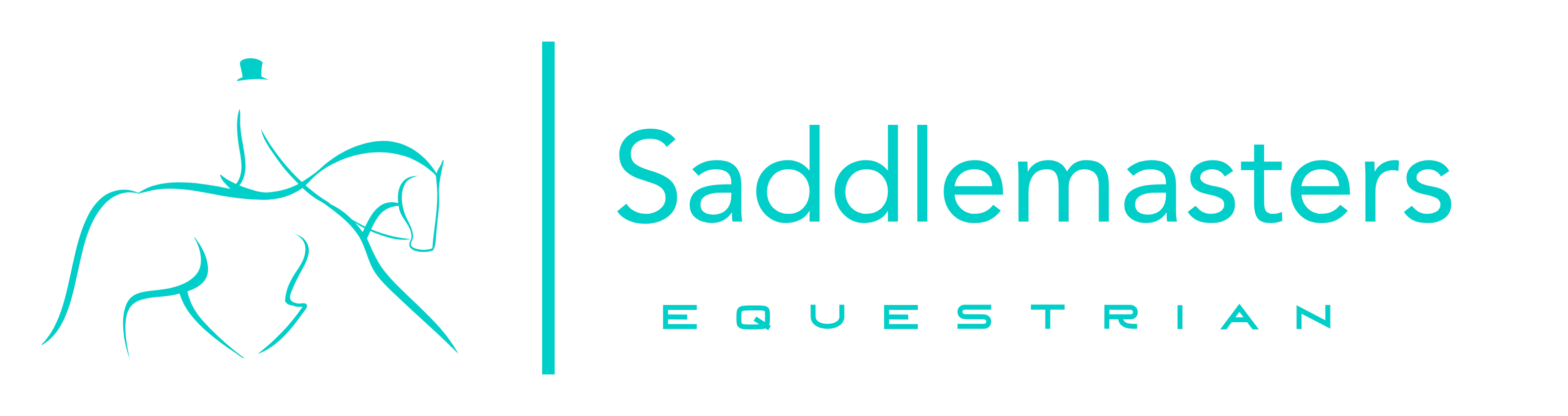 Saddle Masters Discount Codes & Voucher Codes