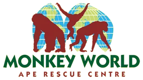 Monkey World 2 For 1 & Discounts