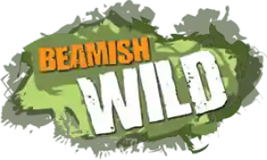 Beamish Wild 2 For 1