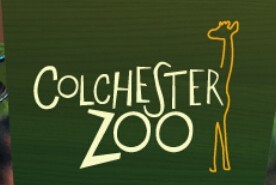 2 For 1 Colchester Zoo