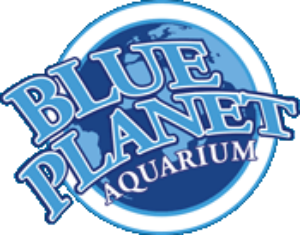 2 For 1 Blue Planet Aquarium & Voucher Codes