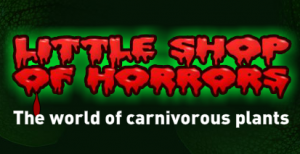 Little Shop Of Horrors Free Delivery & Discounts