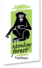 Trentham Monkey Forest Discount Codes & Vouchers & Voucher Codes